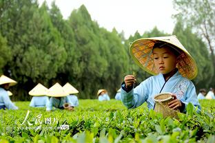 曾令旭：比斯利今天发挥啦 雄鹿已找到表哥和字母挡拆舒服的模式